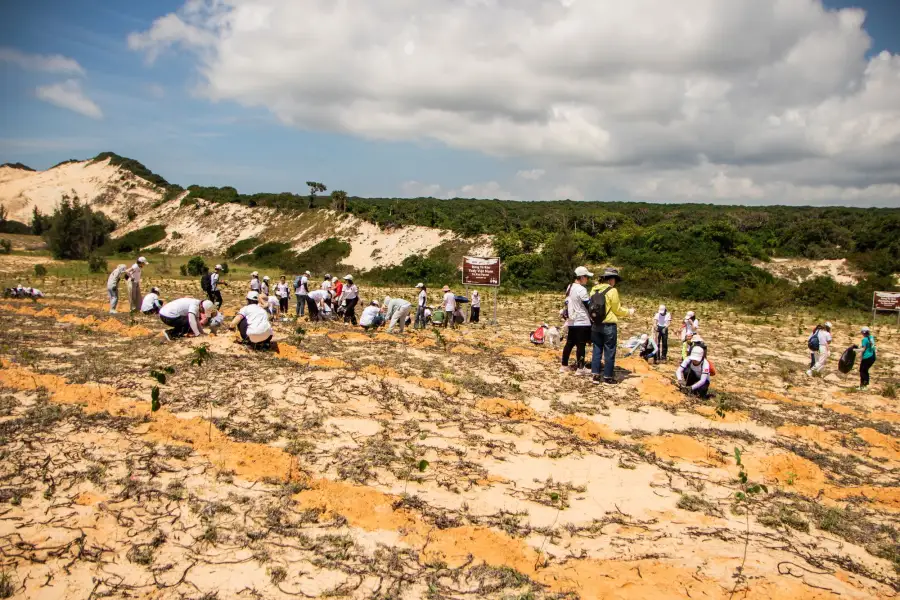 A group of volunteers planting on a bare slope