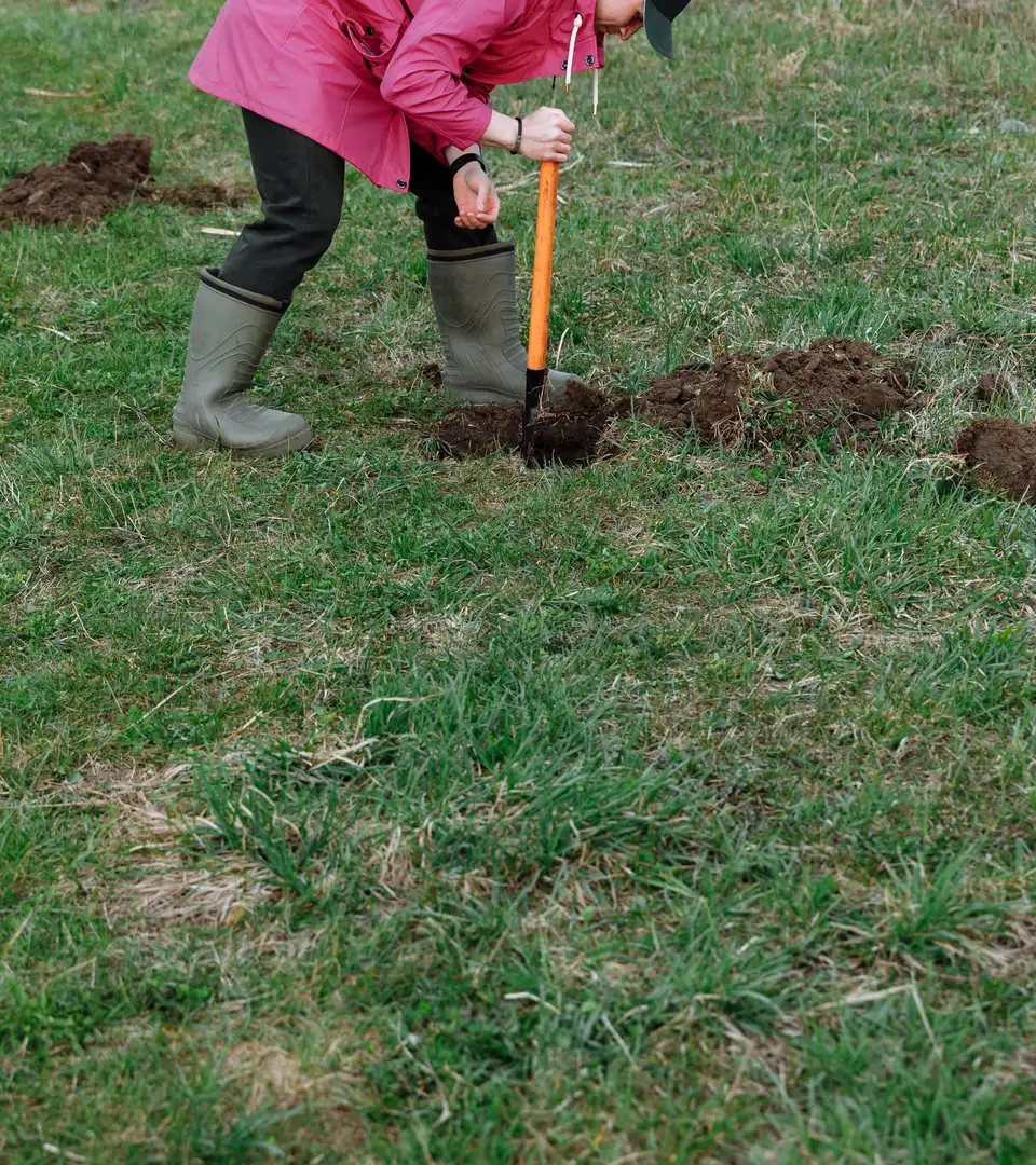 A person in a pink coat digging a small hole in a grass field