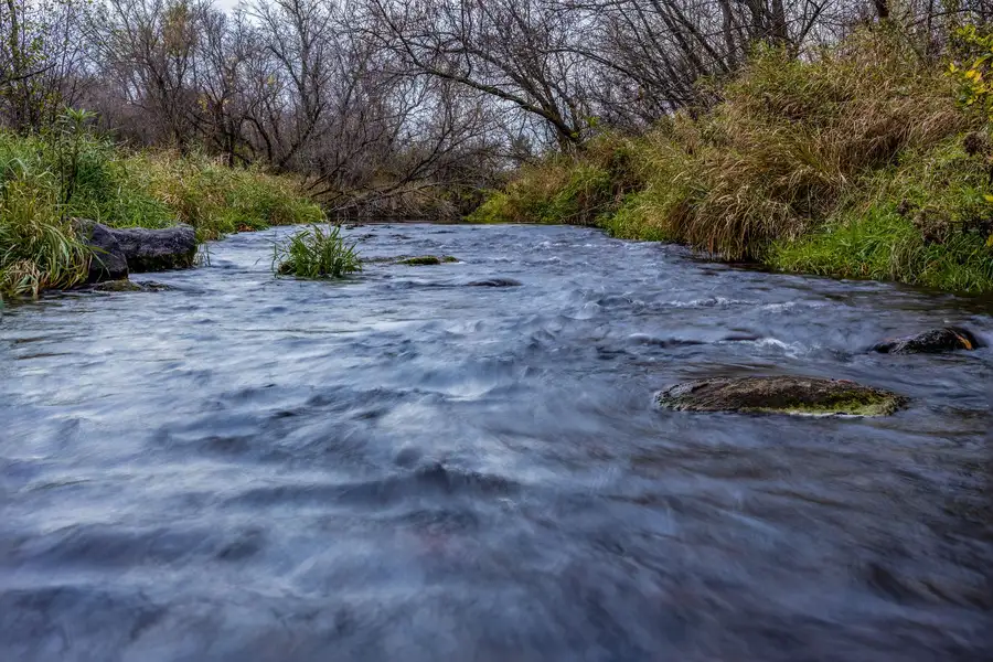 A shallow creek running between grassy banks