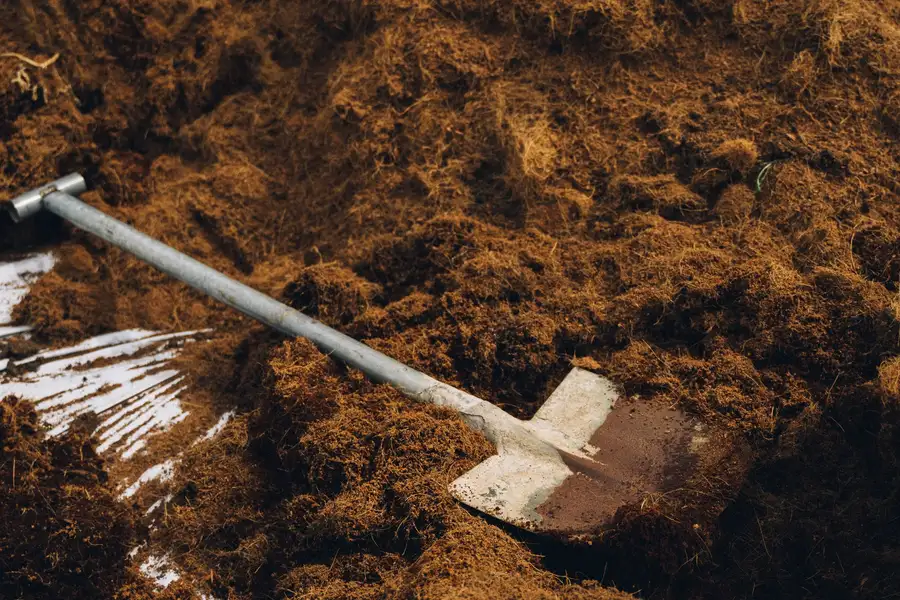 A shovel resting in a pile of dark soil