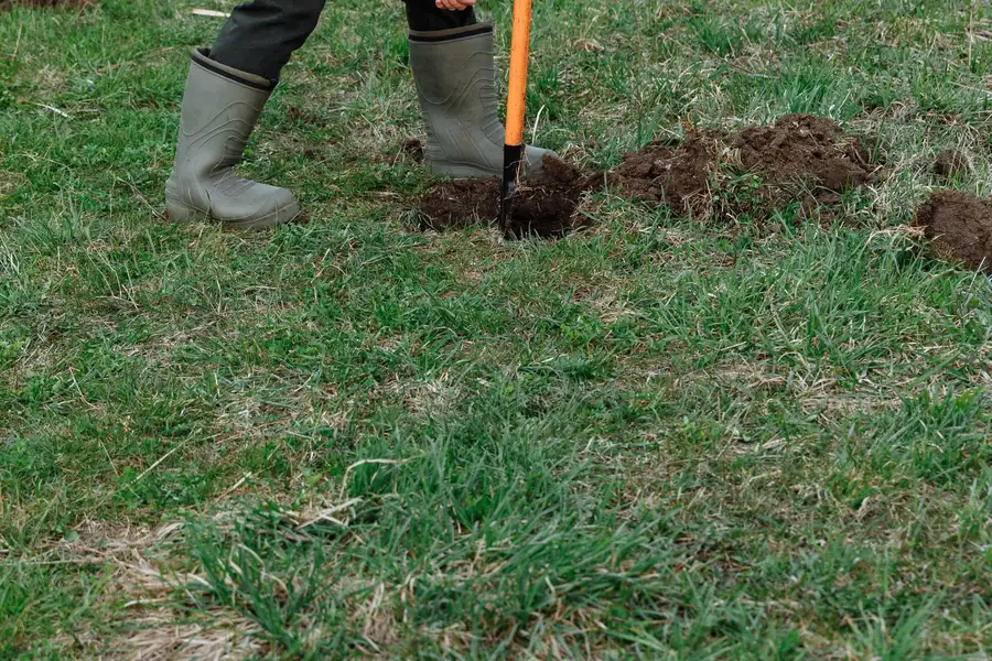 A person in a pink coat digging a small hole in a grass field